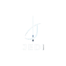 JEDI — Consultant Trainer